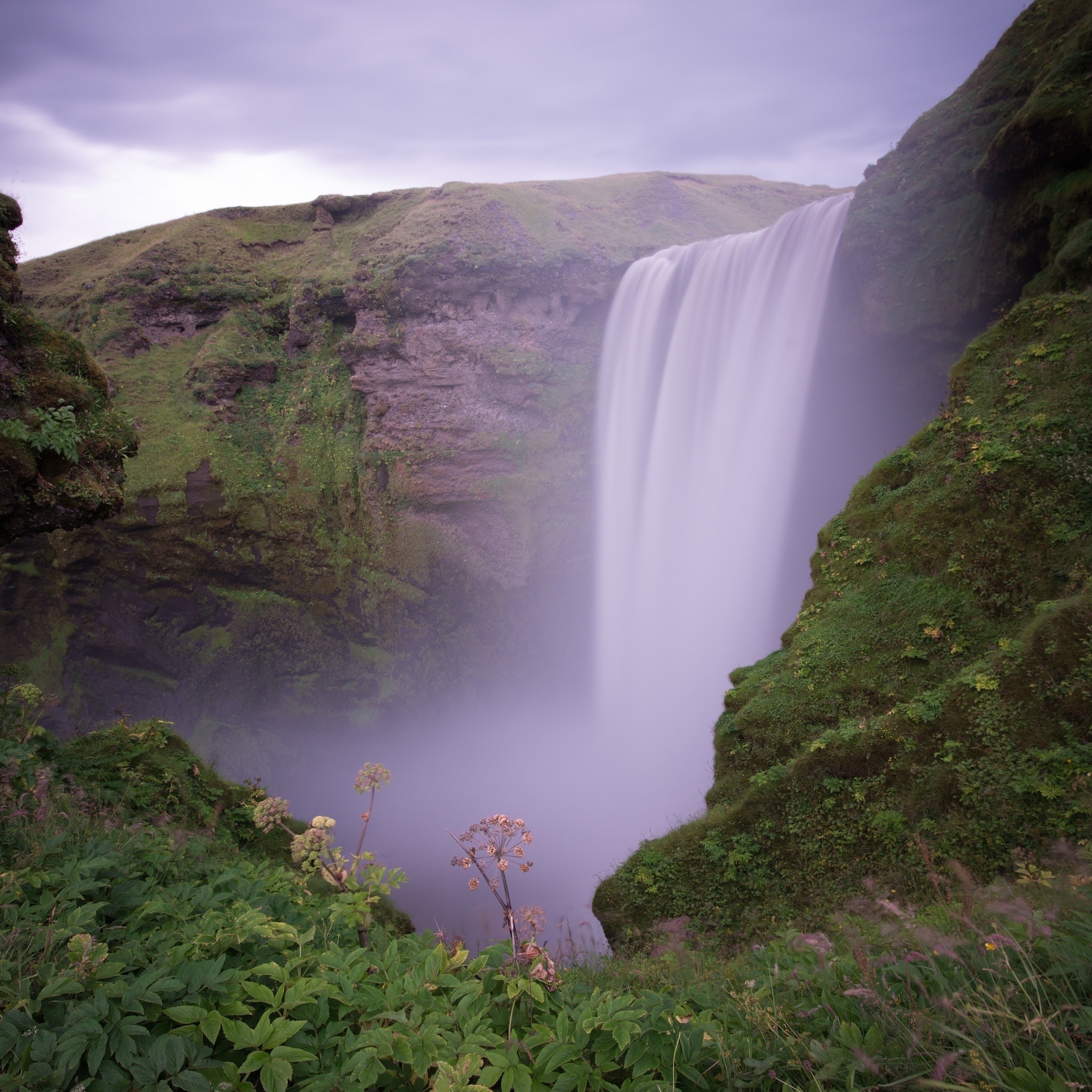 Waste Management: A Step Towards a Cleaner Future